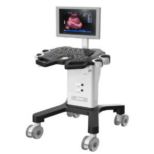 AR-K2 BW Digital Ultrasound Scanner