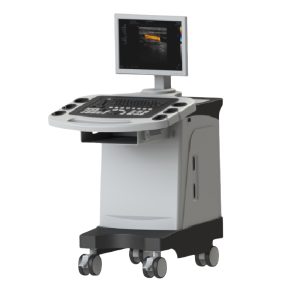 AR-K2000 3D Digital Color Doppler Ultrasound Scanner