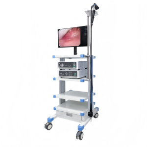ECV-600 Video Colonoscope