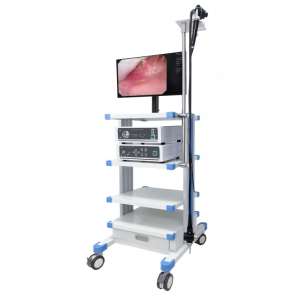 EMV-200E Video Gastroscope