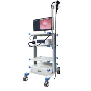 EMV-400D Video Duodenoscope