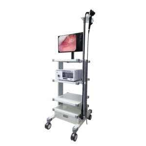 EVB-5 Video Bronchoscopy