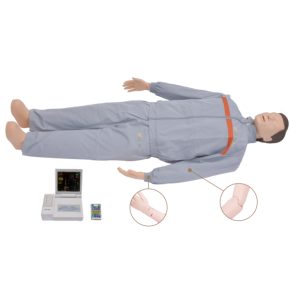 18400G Cardiopulmonary Resuscitation Simulator (Fully Automatic)