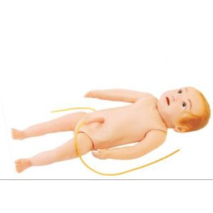 20 Infant Full Body Venipuncture Model