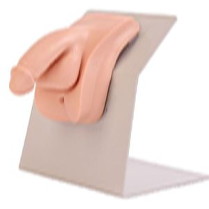 28E High-Grade dress type male urinary catheterization model