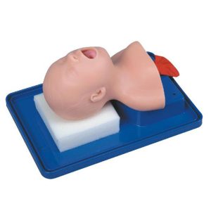 2A Neonate Trachea Intubation Training Model
