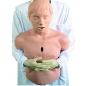 CPR155 Adult Obstruction Model