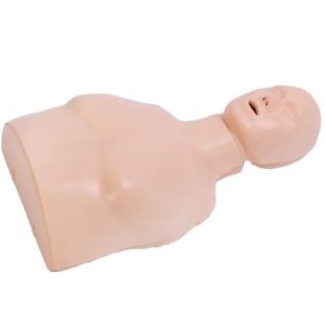 CPR167 Half Body CPR Training Manikin