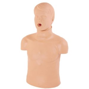 CPR169 Half Body CPR Training Manikin