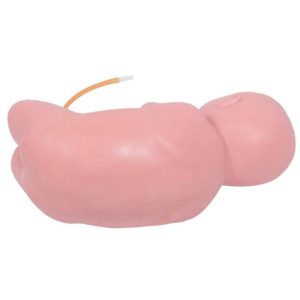 L60A Neonatal Lumbar Puncture Model