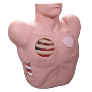 L66 Thoracentesis Drainage Model