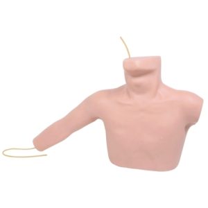 L67A Peripheral Puncture and Central Venous Puncture Model