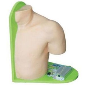 L70 Shoulder Joint Cavity Injection Model