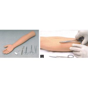 N Surgical Suture Arm Model