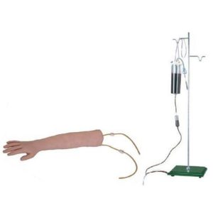 S Arm Venipuncture Training Model
