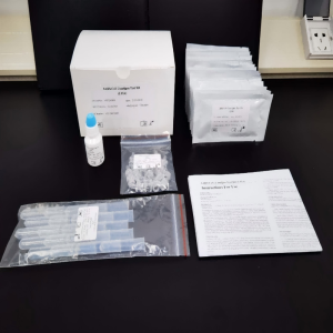 SARS-CoV-2 Rapid Antigen Test