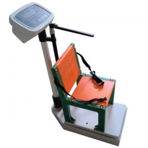 TCS-150-RT Electronic Wheelchair Scale
