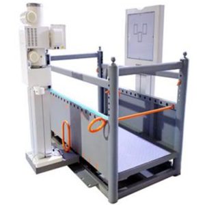 V-U5 Veterinary Digital Radiography System for Big Animal